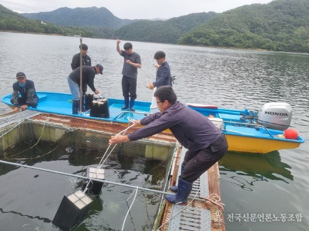 충북내수면산업연구소, 은어 수정란 500만 개 이식