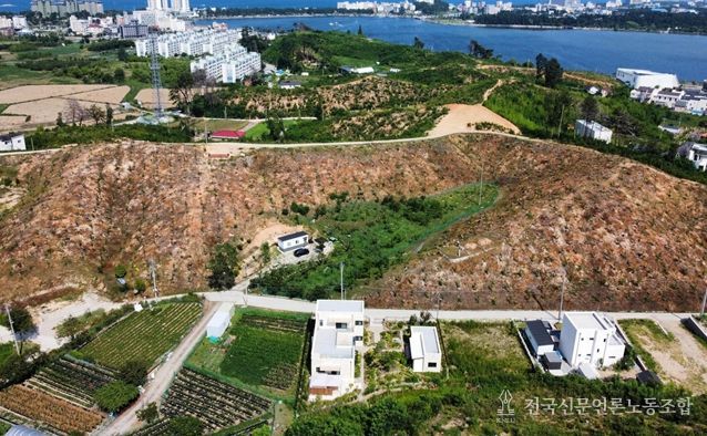 우수조림지 전경(강릉, 2023년 산불피해지)