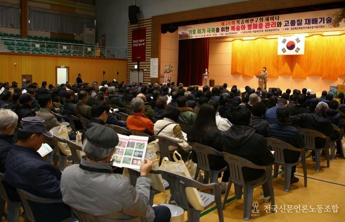 경북도, 복숭아 탄저병 방제는 이렇게 하세요!