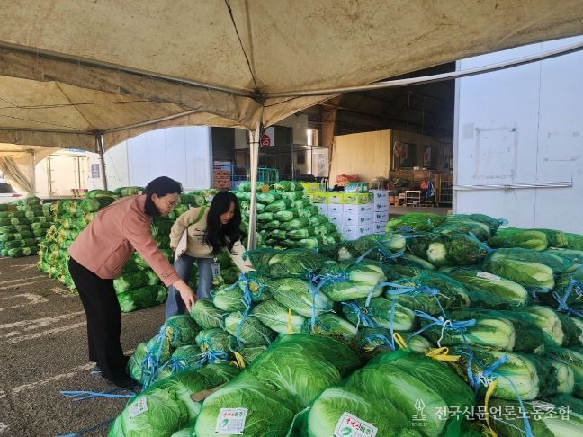 전북자치도, 김장채소 잔류농약 집중 검사 실시