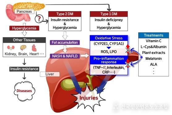 수의학과 배춘식·안태호 교수, AM 학회지 인용도 1위 논문 선정