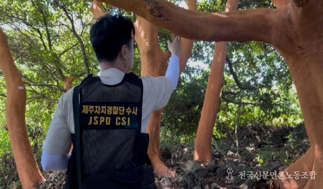 후박나무 피해현장 조사 모습