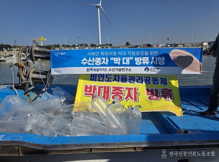 전북자치도, 어린 박대 10만 마리 무상방류