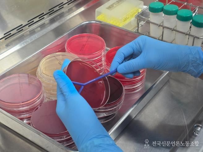 고품질 원유 생산 사진-유방염 검사