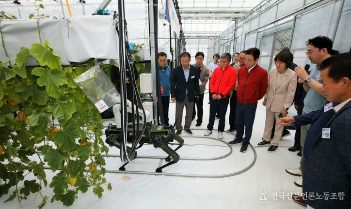 참외 산업 혁신 성과 주목!