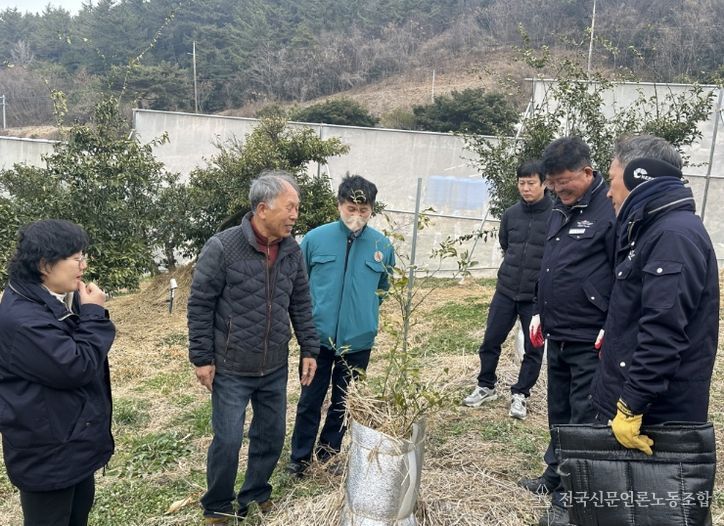 유자 동해 예방 물 주기·토양 피복 기술지도에 총력