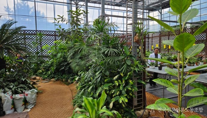 반려식물병원 입원치료실