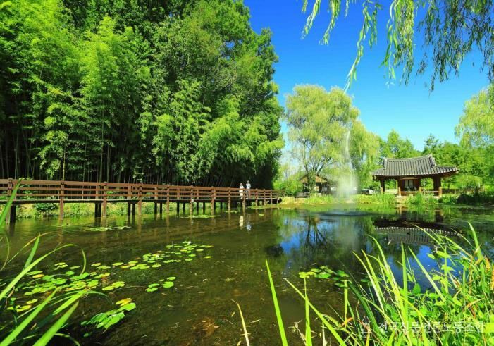 전남 관광지 사진(담양 죽녹원)