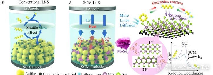 혼합 촉매로 리튬-황 전지 난제 극복