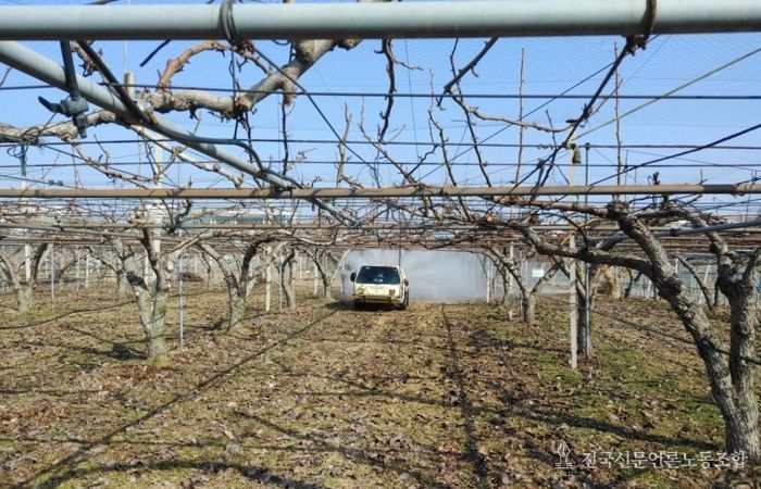 충남 지역 배 과수원 월동 해충 방제 2월 말 적기