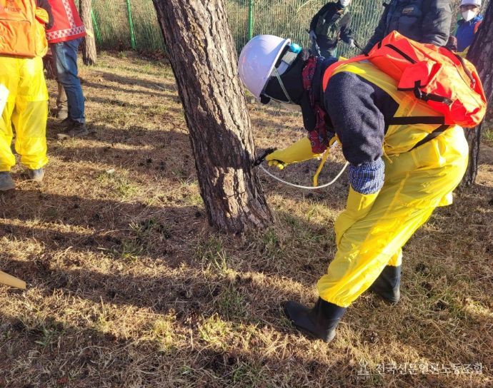 상반기 소나무재선충병 예방사업 추진..255ha 집중 관리