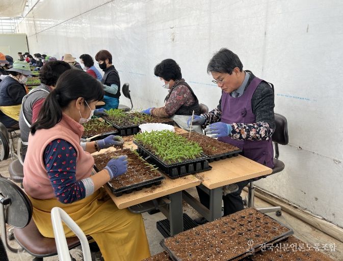 김돈곤 군수가 우량묘 가식현장을 점검하며 작업자들을 격려하고 있다.