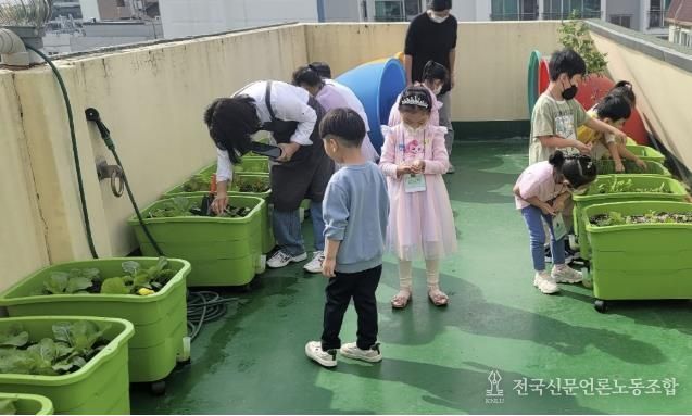 어린이집에서 분양받은 상자텃밭을 아이들이 가꾸고 있다