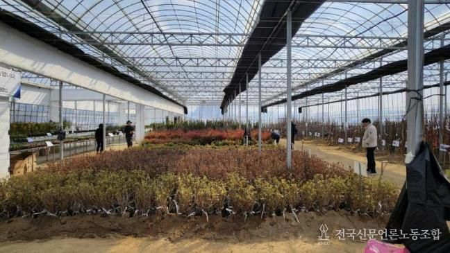 충주시, 봄철 나무심기 맞아 159ha 조림사업 추진