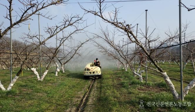 월동 병해충 방제 사진