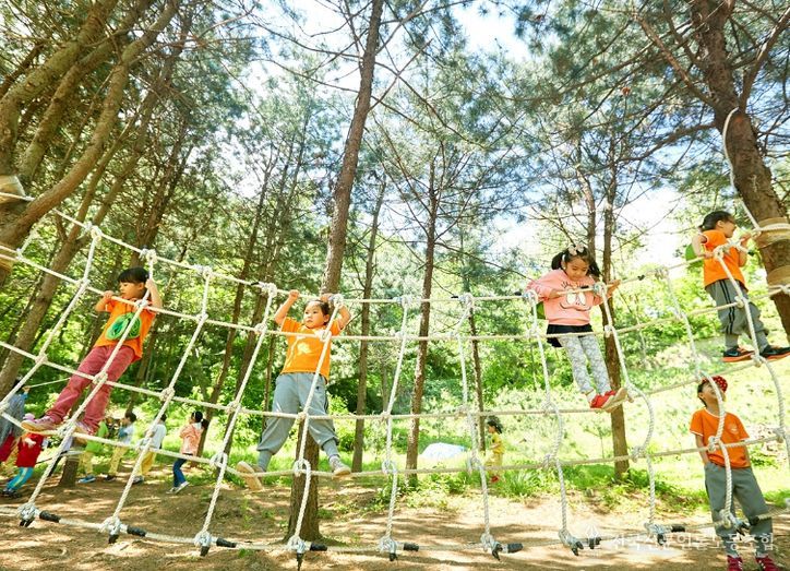 양천구, 신정산 유아숲체험원을 이용하는 어린이들 모습