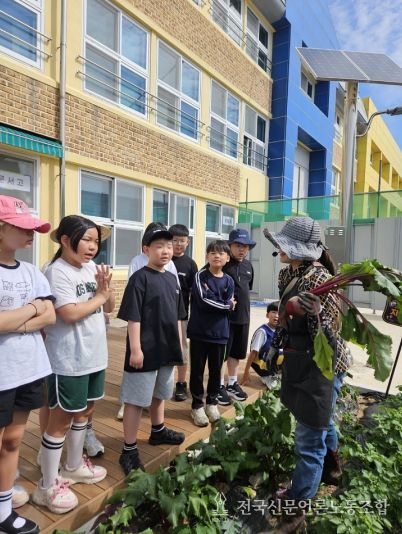 학교 자투리텃밭 ‘농작물 수확’