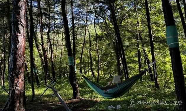 산림치유프로그램 운영 사진. 국립나주숲체원 화순치유의숲 제공