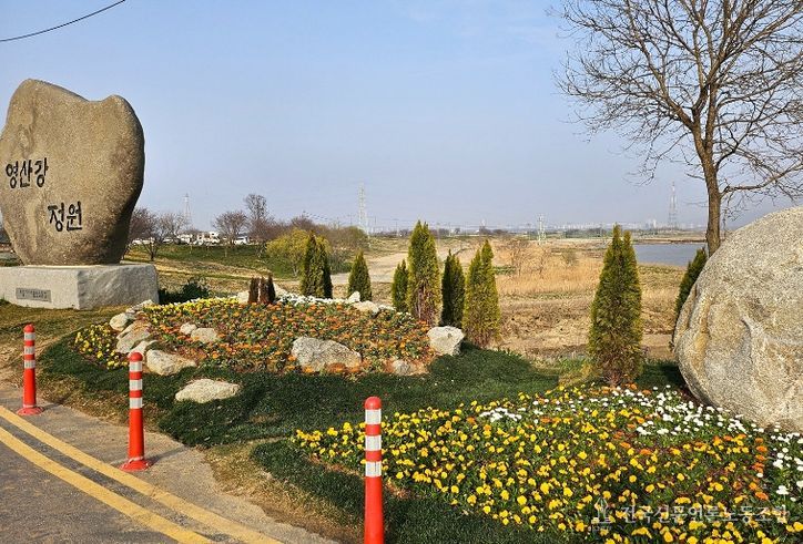 영산강정원 입구 화단에 팬지, 데이지 등 다양한 봄꽃이 관광객들을 맞이한다.