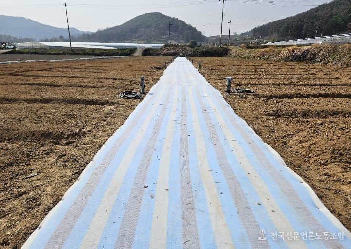 광양시, 4월 1일 도시민 주말농장 개장