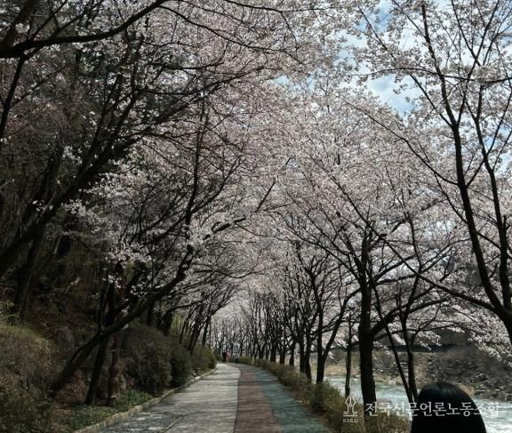 “벚꽃길 따라 마음도 쉬어가세요”