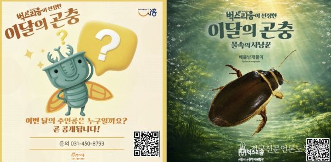 곤충전시체험관 벅스리움, 5일부터 신규 전시 '이달의 곤충' 운영