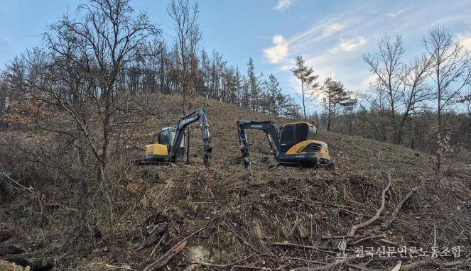 산불피해지 벌채사면 정비계획