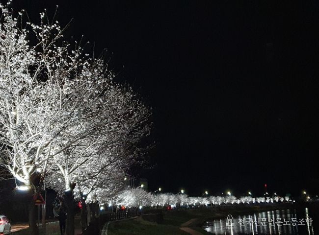 곡성군 옥과천, 빛으로 물들다