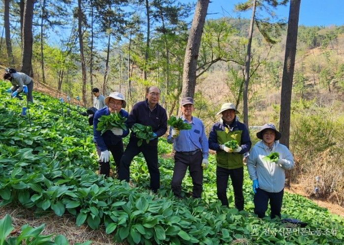 산촌 일손 돕기 행사