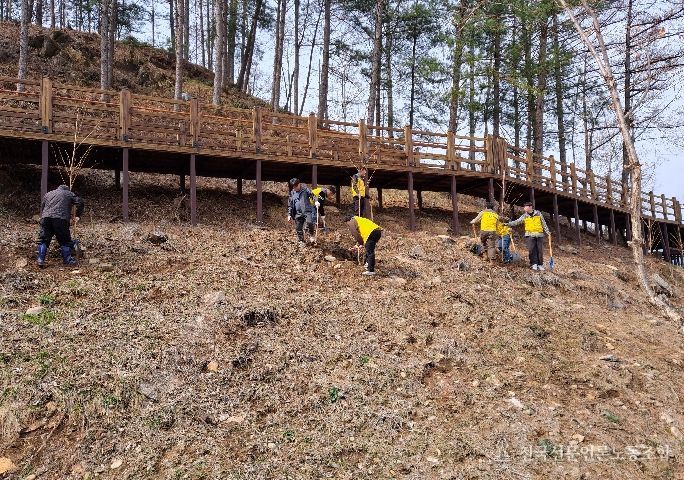 평창군시설관리공단, 제81회 식목일 기념나무심기 행사