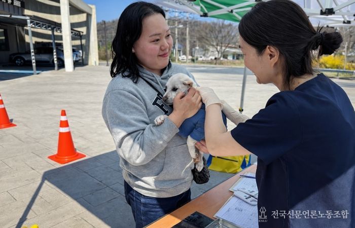 경주시, 반려견 광견병 무료 예방접종 실시
