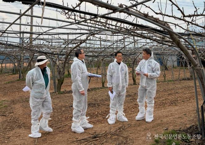 배 냉해 예방 현장점검