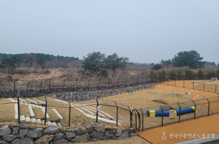 반려동물 놀이공원