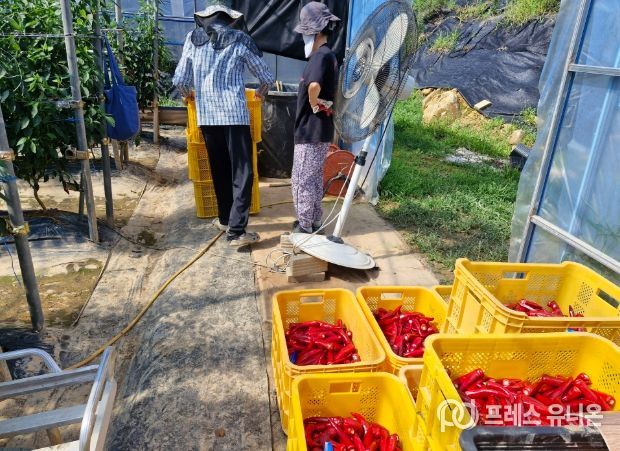 귀농, 살아보고 결정하세요! ‘거창군, 농촌에서 살아보기 참가자 모집’