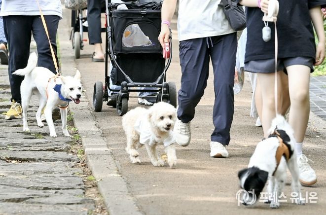 지난해 6월 14일 관내 안산(鞍山) 반려견 산책로에서 열린 ‘반려동물과 함께 걷기 행사’ 모습