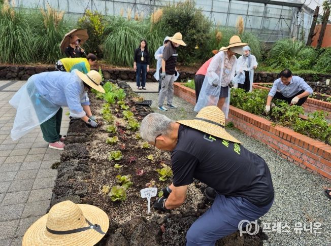 치유 프로그램 운영_2025년